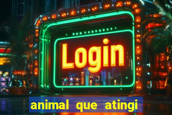 animal que atingi 230 decibeis